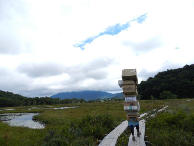 尾瀬を歩く歩荷の方（画像提供：石高徳人さん）