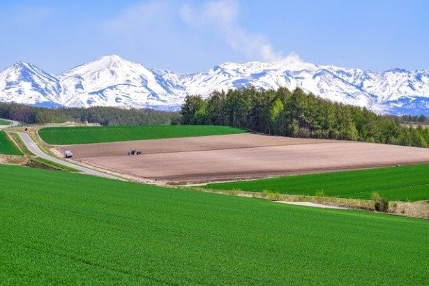 まだ名残の雪化粧をした十勝岳と雪が解けた田畑の風景