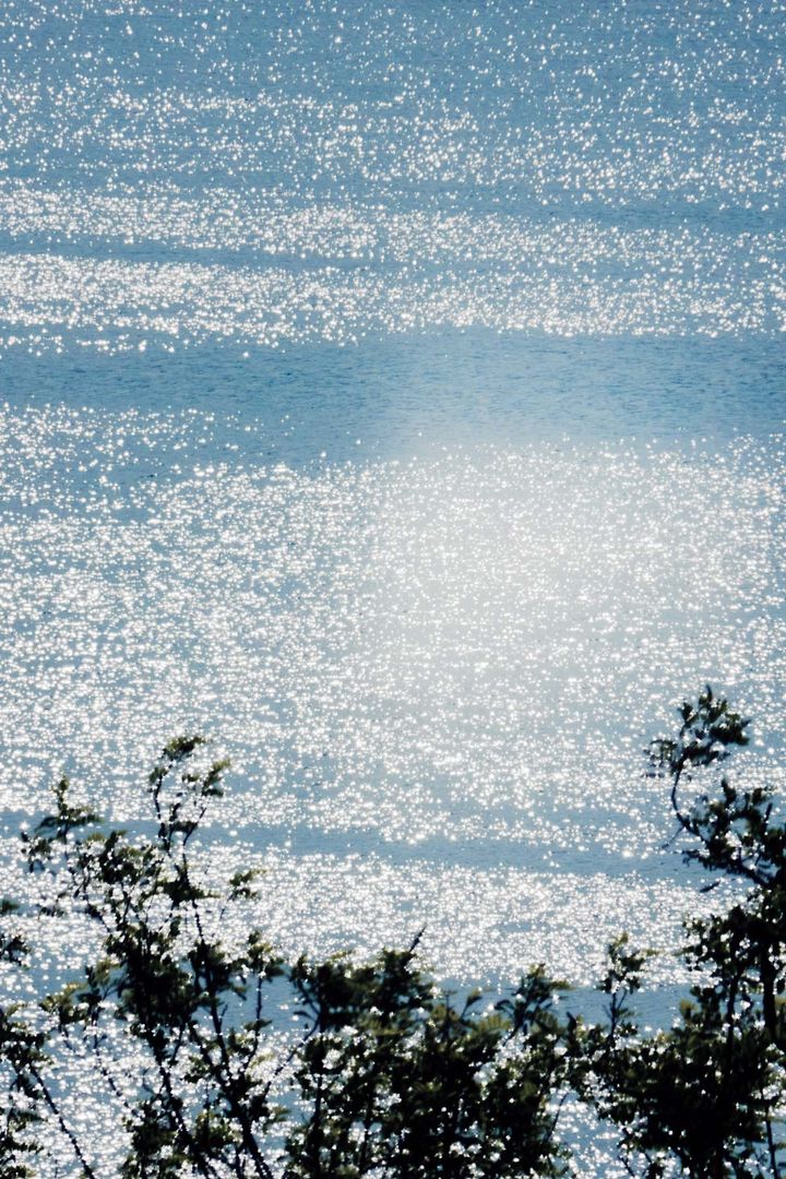 水面の写真