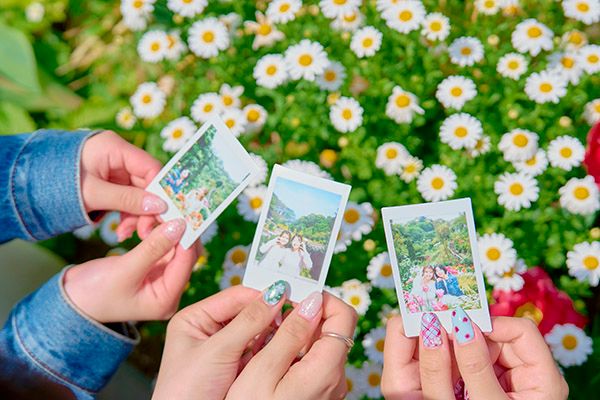 【静岡県熱海市】リゾートパーク「ACAO FOREST」でローズフェスタ開催中！約600種4,000株のバラが見頃