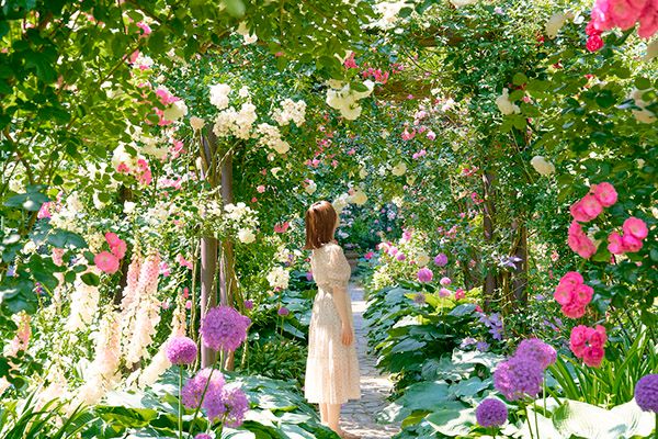 【静岡県熱海市】リゾートパーク「ACAO FOREST」でローズフェスタ開催中！約600種4,000株のバラが見頃