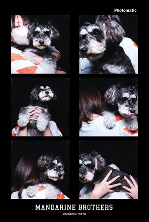 【東京都世田谷区】「MANDARINE BROTHERS」直営店に「Photomatic」のフォトブース登場！ペットと撮影可能