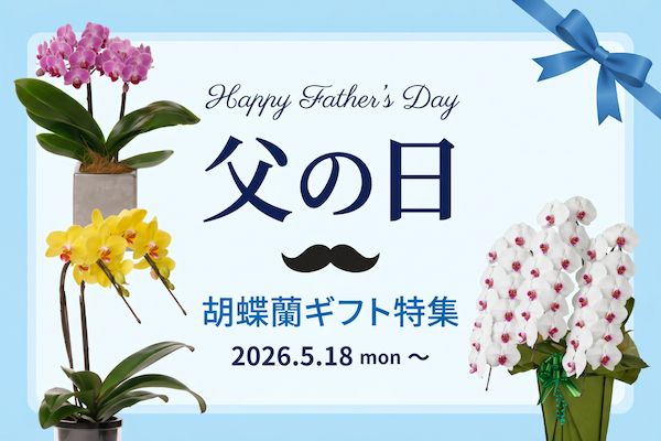 胡蝶蘭専門サイト「フラワースミスギフト」、父の日ギフト向け胡蝶蘭の特集販売を開始