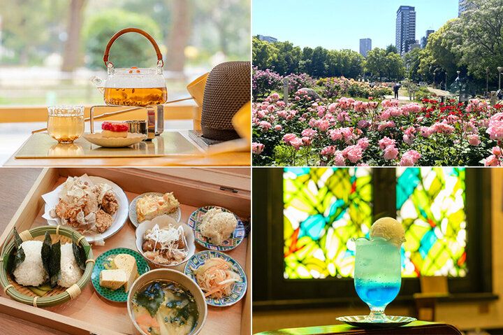 靭公園のバラ散策と一緒に♪ 心ときめくカフェ5選