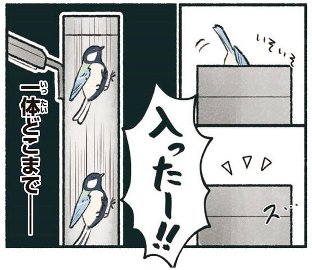 入ったー！！ （C）piro piro piccolo／KADOKAWA
