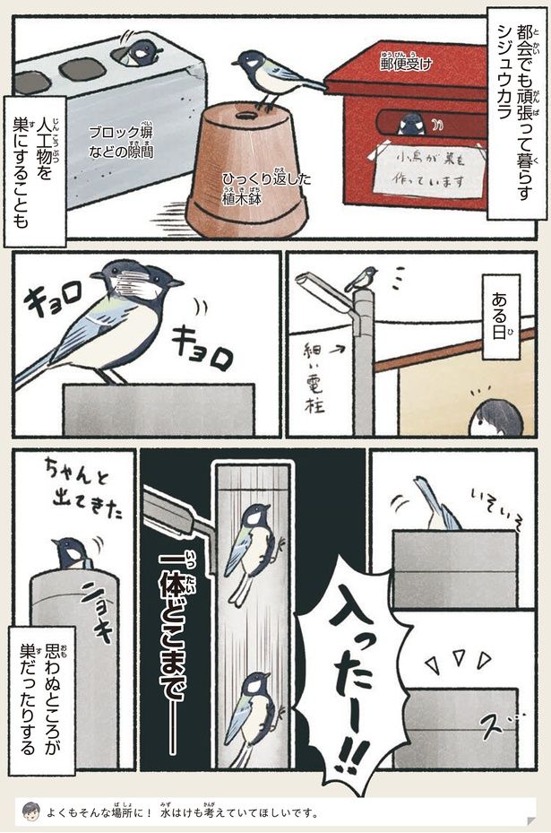 思わぬところが巣だったりする （C）piro piro piccolo／KADOKAWA