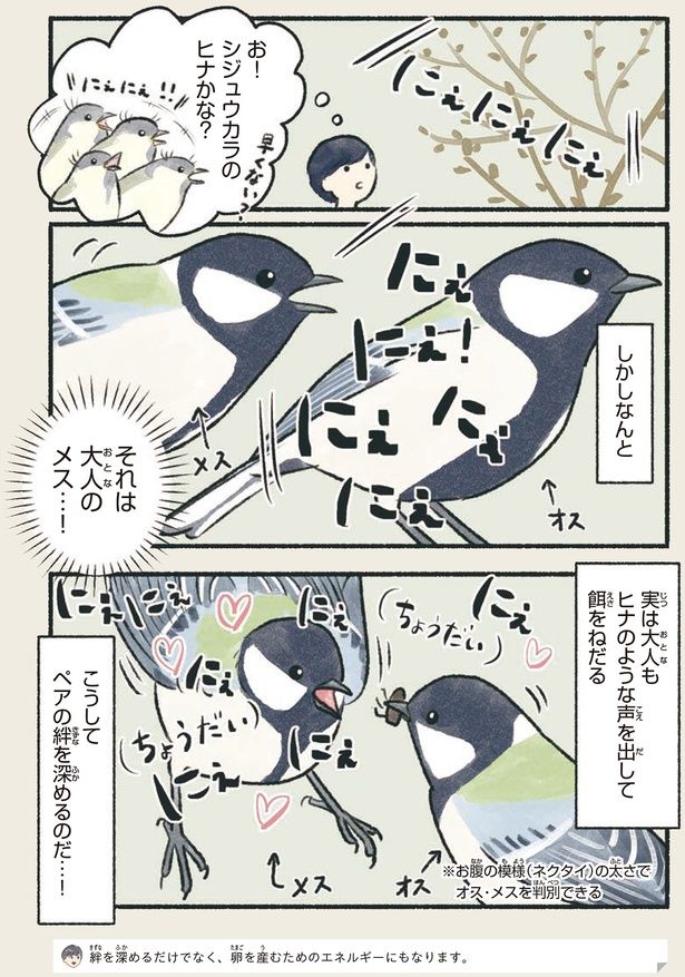 それは大人のメス…！ （C）piro piro piccolo／KADOKAWA