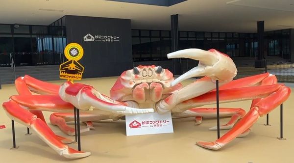 【福井県敦賀市】オープンファクトリー「かにファクトリー 甲羅組」が、オープンに向け最終段階に突入