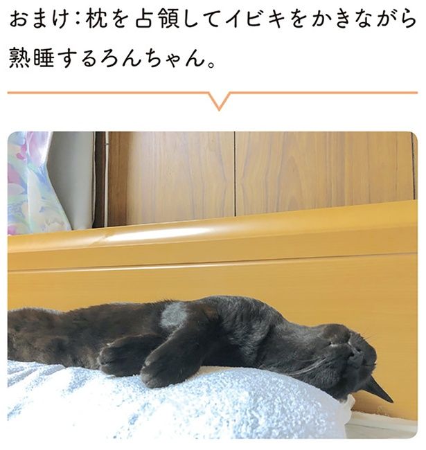 おまけ：枕を占領してイビキをかきながら熟睡するろんちゃん （C）AKR／KADOKAWA