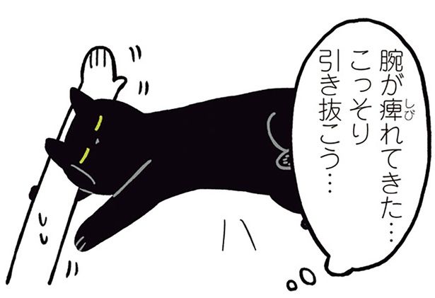 こっそり引き抜こう… （C）AKR／KADOKAWA