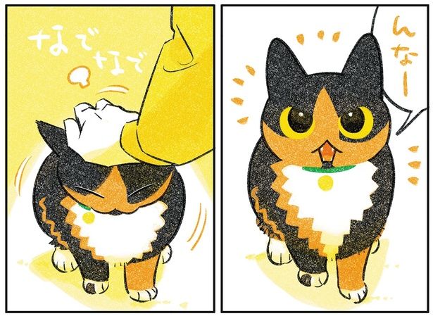 なでなで （C）ふじひと／KADOKAWA