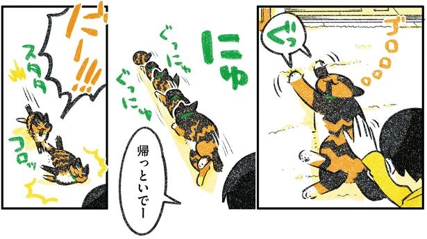 帰っといでー （C）ふじひと／KADOKAWA