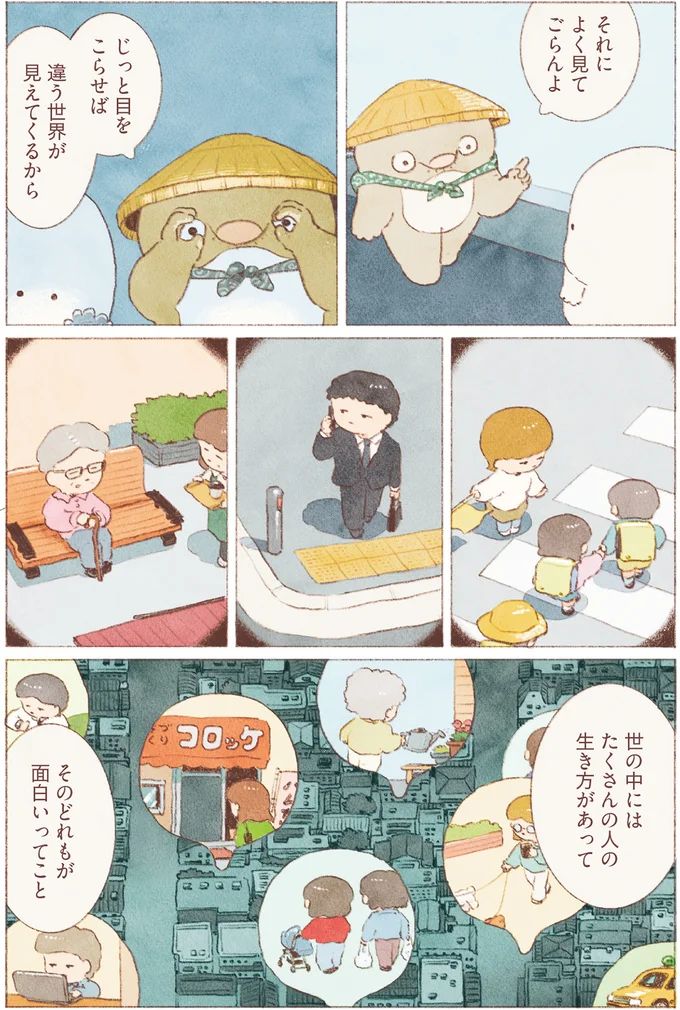 16155786.webp
