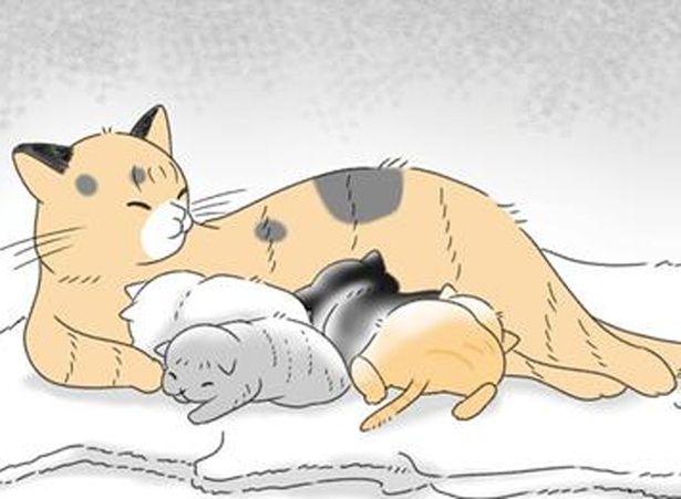 子猫の里親探しは… （C）ゆきよみ、にゃんかつ／KADOKAWA