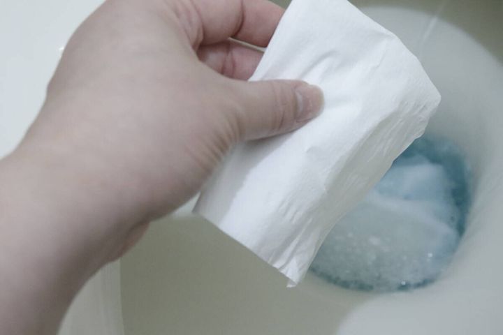 セリアのトイレに流せる除菌ペーパータオルをトイレに流す