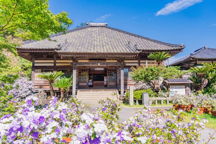 下田・了仙寺のアメリカジャスミンの香りに癒されて♪下田ロープウェイで行く寝姿山で縁結び祈願も