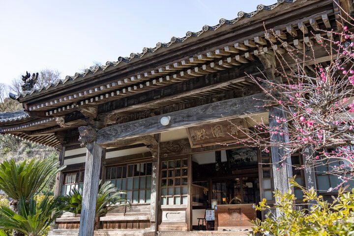 下田・了仙寺のアメリカジャスミンの香りに癒されて♪下田ロープウェイで行く寝姿山で縁結び祈願も