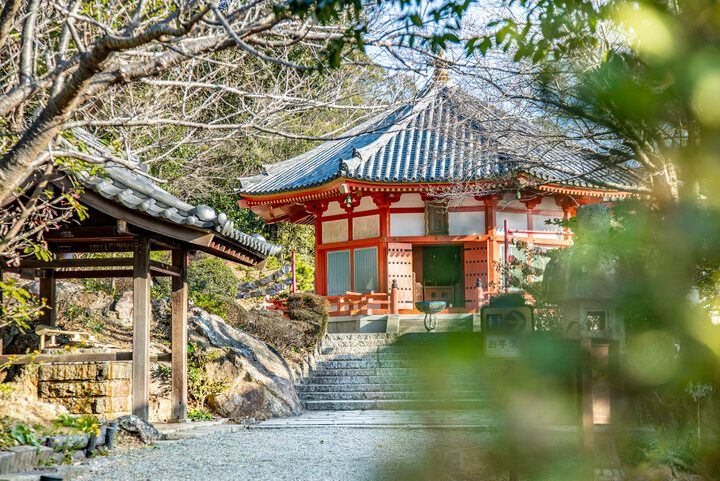 下田・了仙寺のアメリカジャスミンの香りに癒されて♪下田ロープウェイで行く寝姿山で縁結び祈願も