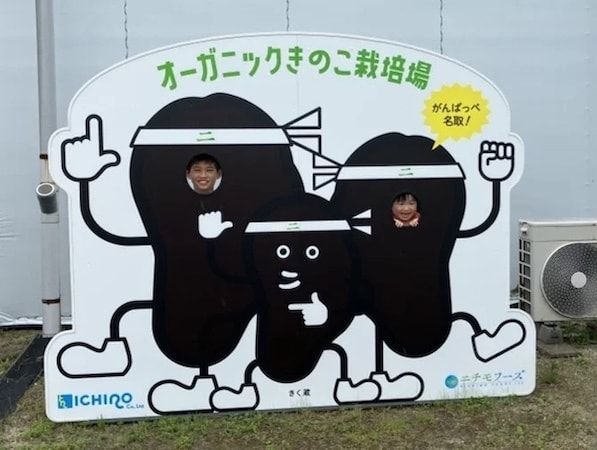 【宮城県名取市】「オーガニックきのこ栽培場」できくらげの収穫体験・見学を開催！採れたての試食も