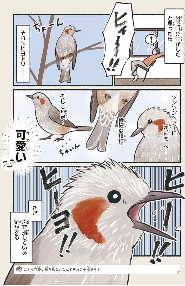 声で損している気がする （C）piro piro piccolo／KADOKAWA