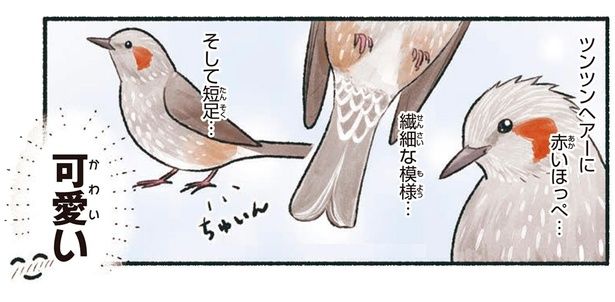 可愛い （C）piro piro piccolo／KADOKAWA