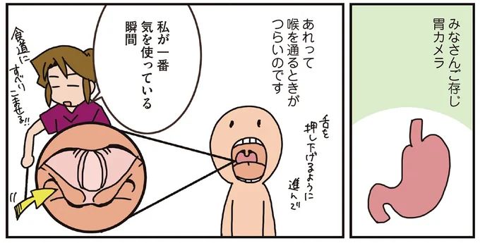 15918250.webp