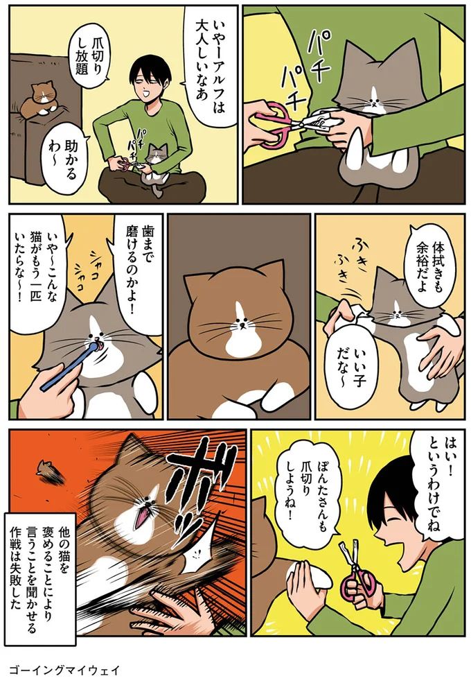 16268924.webp