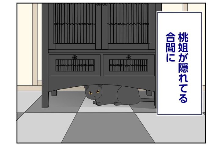 【マンガ・老猫日誌＃78】桃姐はいじめにあっていた？〜思い出の老猫日誌・桃姐と小論