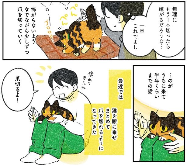 最近では （C）ふじひと／KADOKAWA