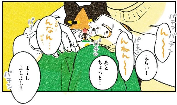 えらい！ （C）ふじひと／KADOKAWA