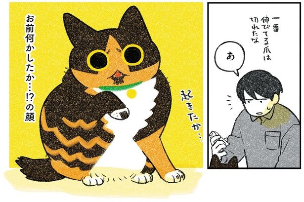 起きたか… （C）ふじひと／KADOKAWA