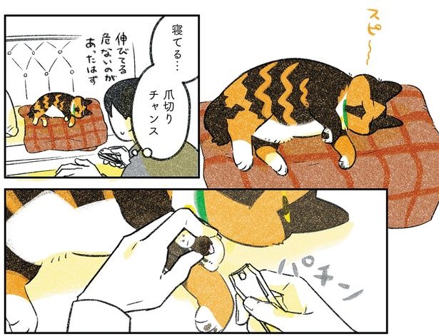 寝てる… （C）ふじひと／KADOKAWA