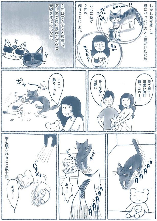 2匹はすくすくと成長し （C）ゆるりまい／KADOKAWA