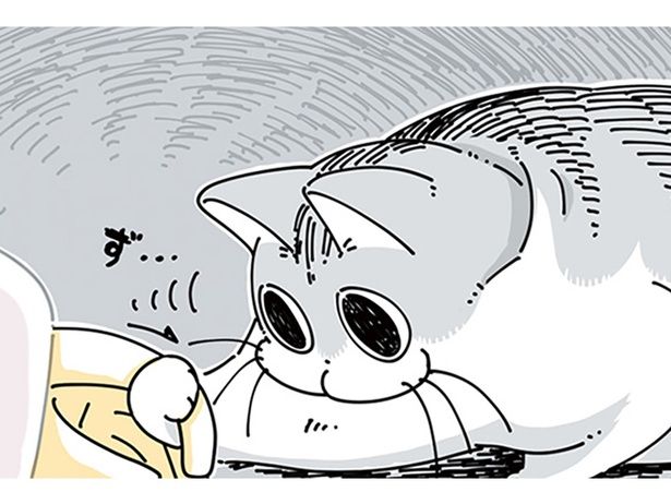 興味津々 （C）キュルZ／KADOKAWA