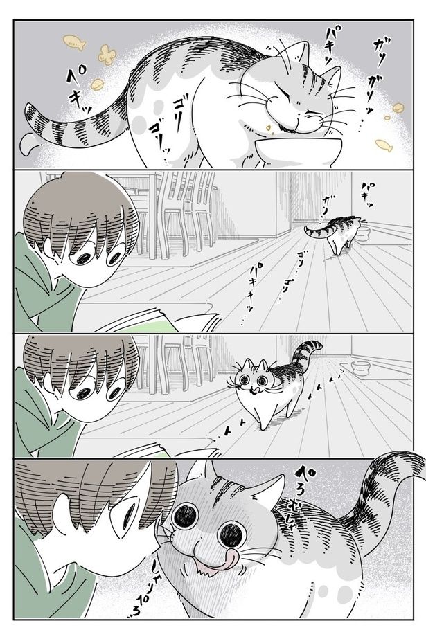 『共有』01 画像提供：キュルZ@kyuryuZ