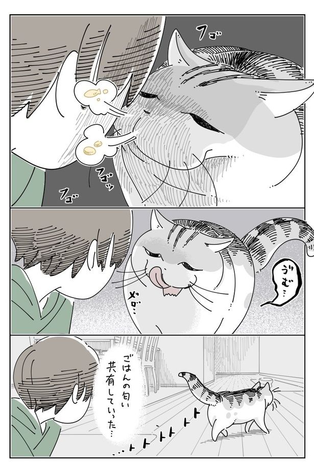 02 画像提供：キュルZ@kyuryuZ