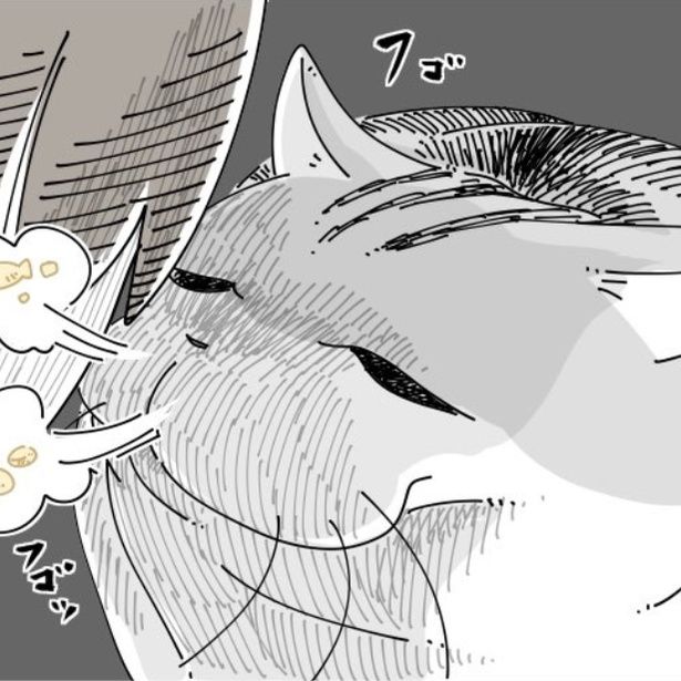 飼い主の顔に鼻息をかける猫 画像提供：キュルZ@kyuryuZ