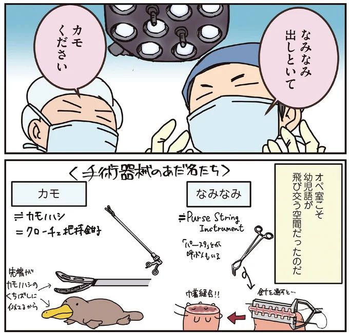 15932746.webp