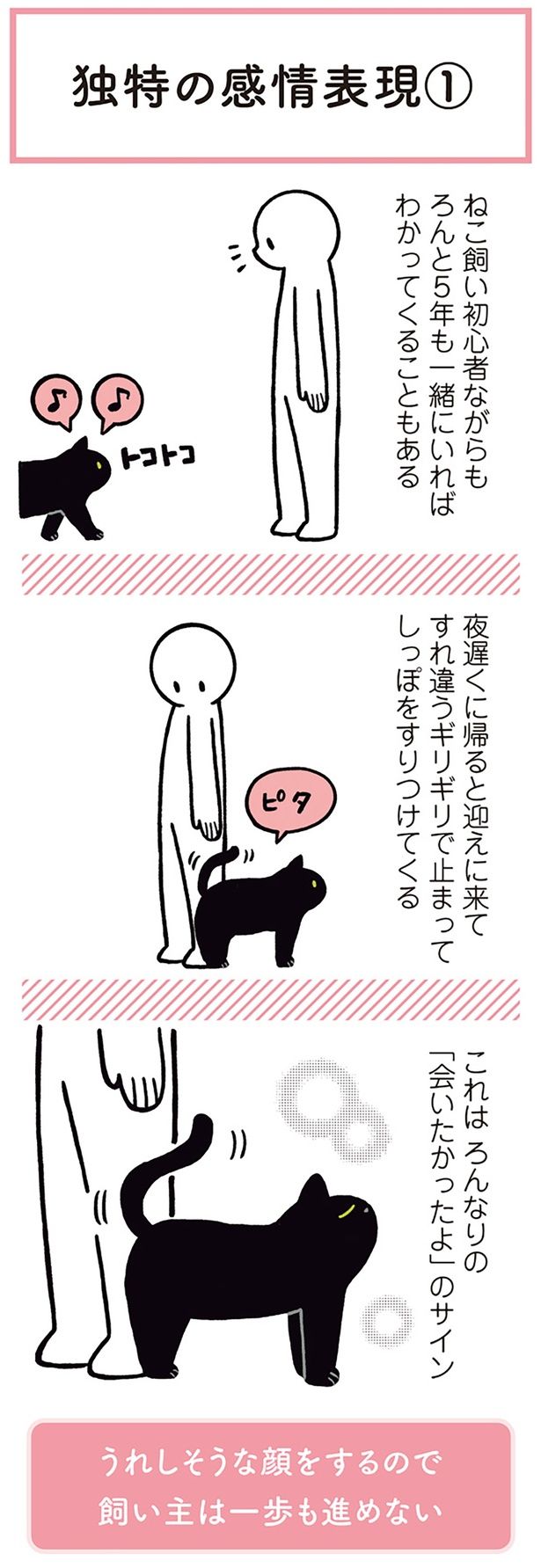 うれしそうな顔をするので飼い主は一歩も進めない （C）AKR／KADOKAWA