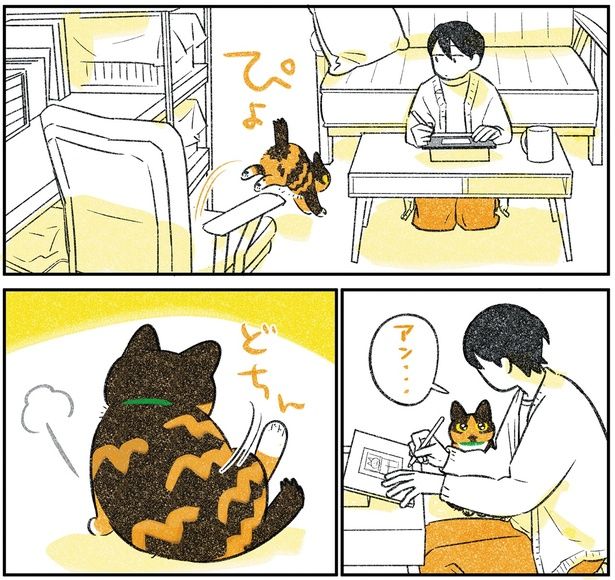 ぴょ （C）ふじひと／KADOKAWA