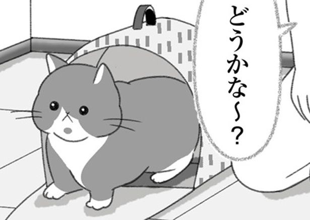 どうかな～？ （C）ゆきよみ、にゃんかつ／KADOKAWA