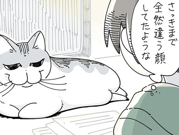 さっきまでの顔と違う？ （C）キュルZ／KADOKAWA