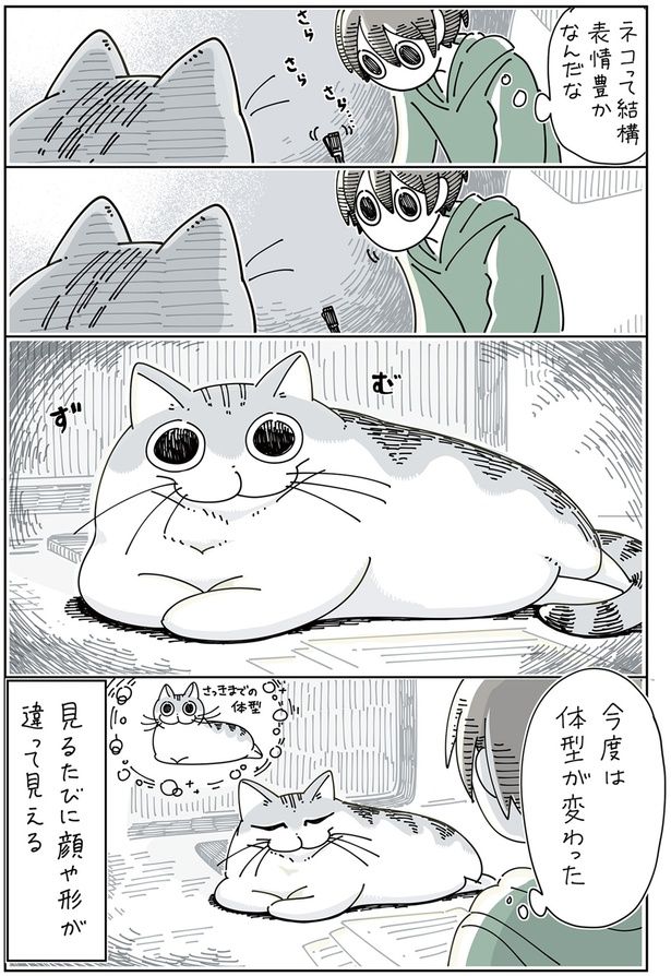 体系が… （C）キュルZ／KADOKAWA