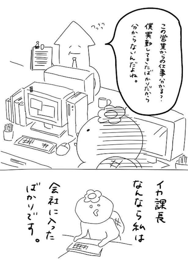 画像提供：かっぱ子さん(＠kappacooooo)