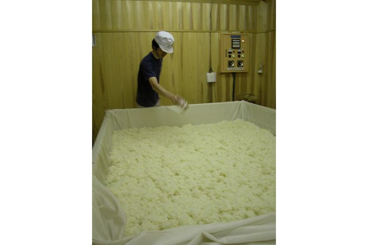 麹室で一人静かに種麹をふる高木顕統さん