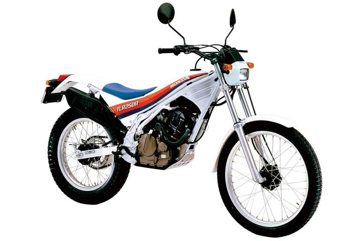 1984 HONDA TLR250R