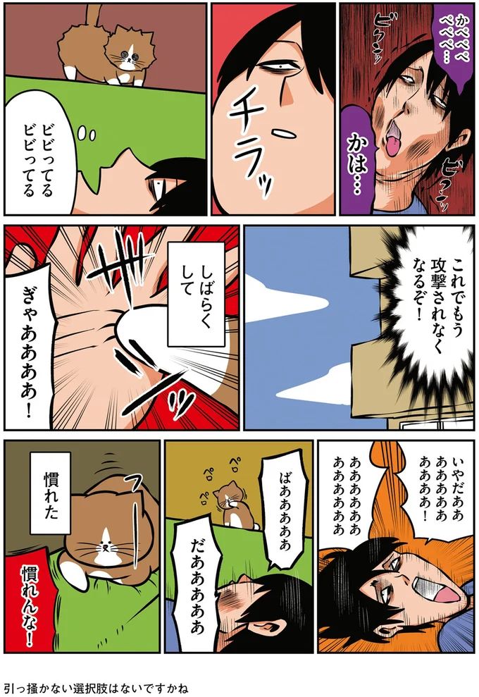 16268945.webp