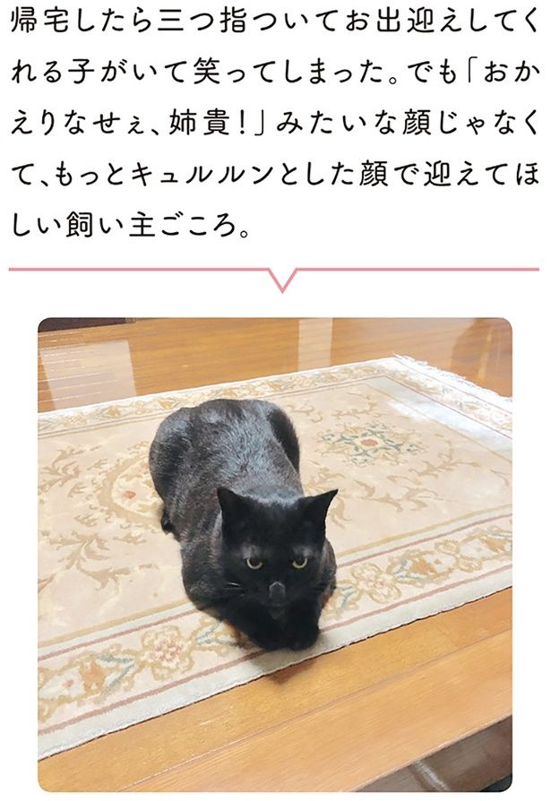 帰宅したら三つ指ついてお出迎えしてくれる子がいて笑ってしまった （C）AKR／KADOKAWA