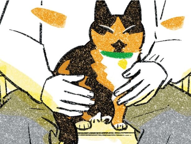 猫を膝の上に… （C）ふじひと／KADOKAWA