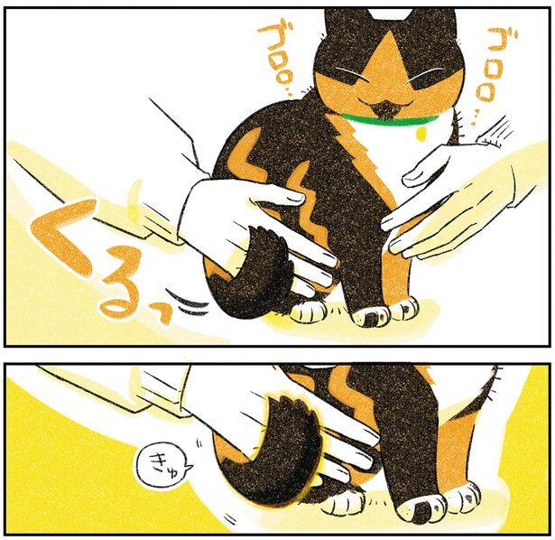 きゅ （C）ふじひと／KADOKAWA
